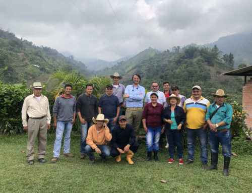 FAIRCHAIN & MOYEE COFFEE COLOMBIA