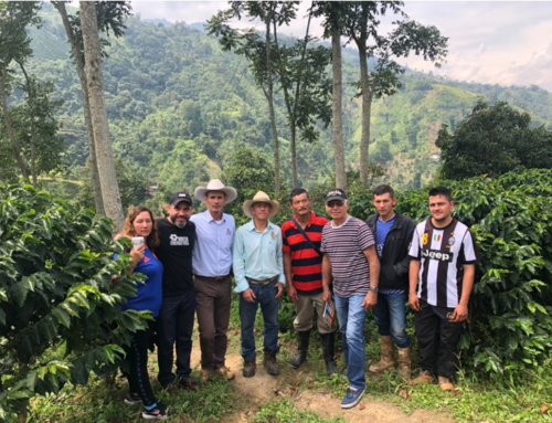 SEDE UNITED ENERGETICS – GRANJA INTEGRAL CAFETERA